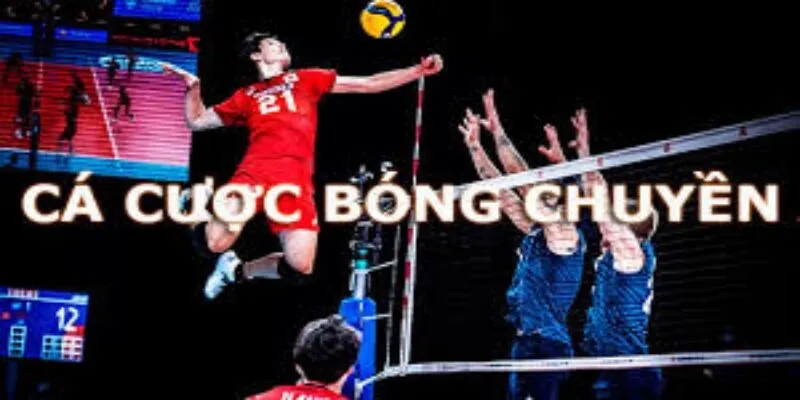 Bí kíp cá cược bóng chuyền nhà cái Rikvip