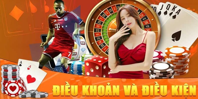 điều khoản điều kiện nhà cái Rikvip