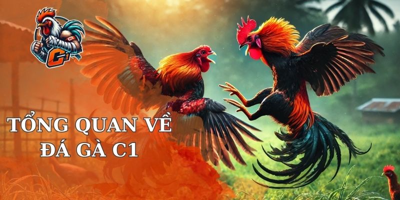 Gà Chọi Online C1 Vip Nhà Cái Rikvip - Địa Chỉ Hàng Đầu 1 Tổng quan về gà chọi online C1 Vip nhà cái Rikvip